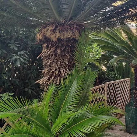La Casa Di Ulisse Gaeta