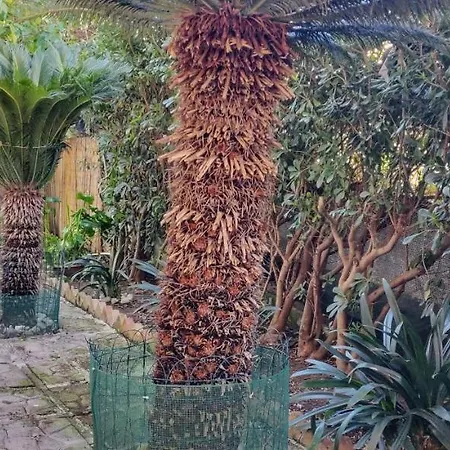 La Casa Di Ulisse Appartement Gaeta